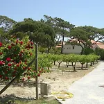 Solar Do Magoito * סינטרה