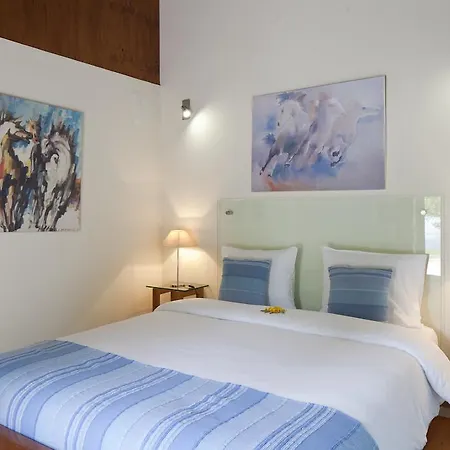 Solar Do Magoito Country house *