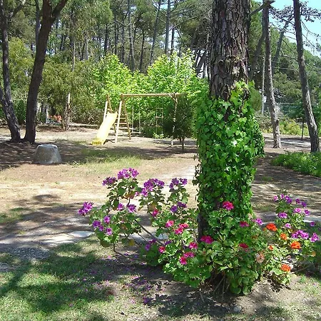 Solar Do Magoito Country house