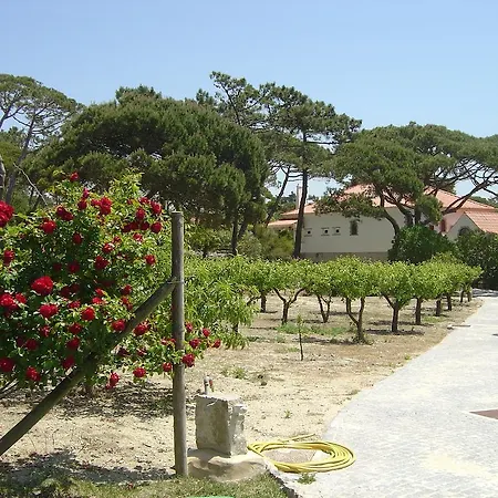 Solar Do Magoito * Sintra