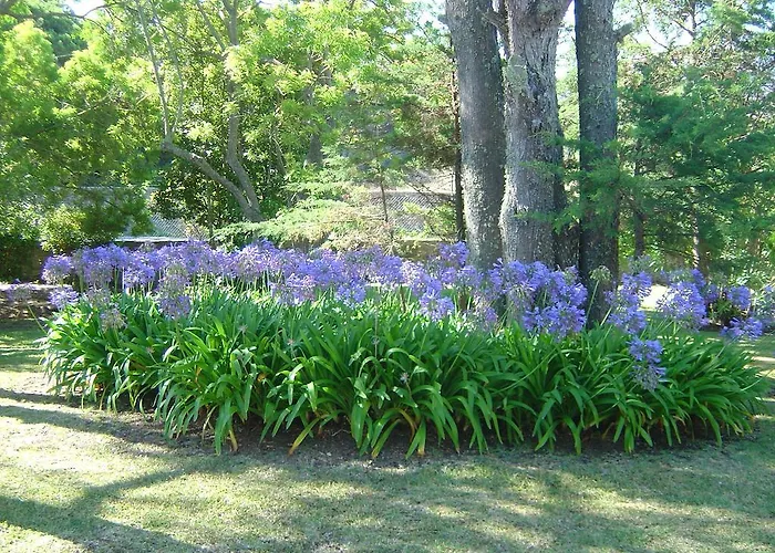 Solar Do Magoito Sintra