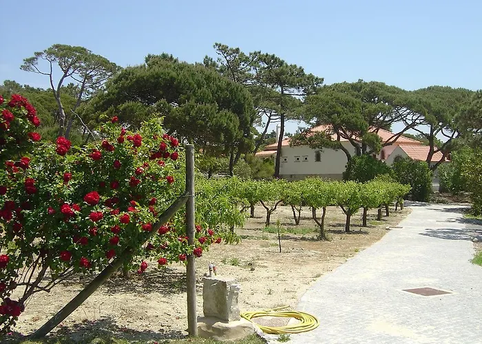 Solar Do Magoito * Sintra